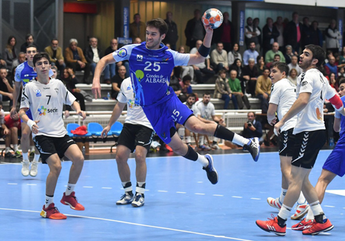 TVG y Arag�n TV apuestan por la Liga ASOBAL