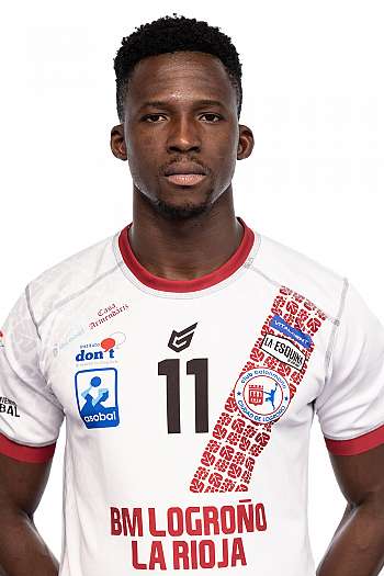 Mamadou Lamine Diocou
