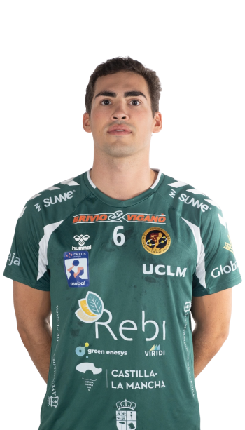 Manuel Vilhena Roque Coelho Lima